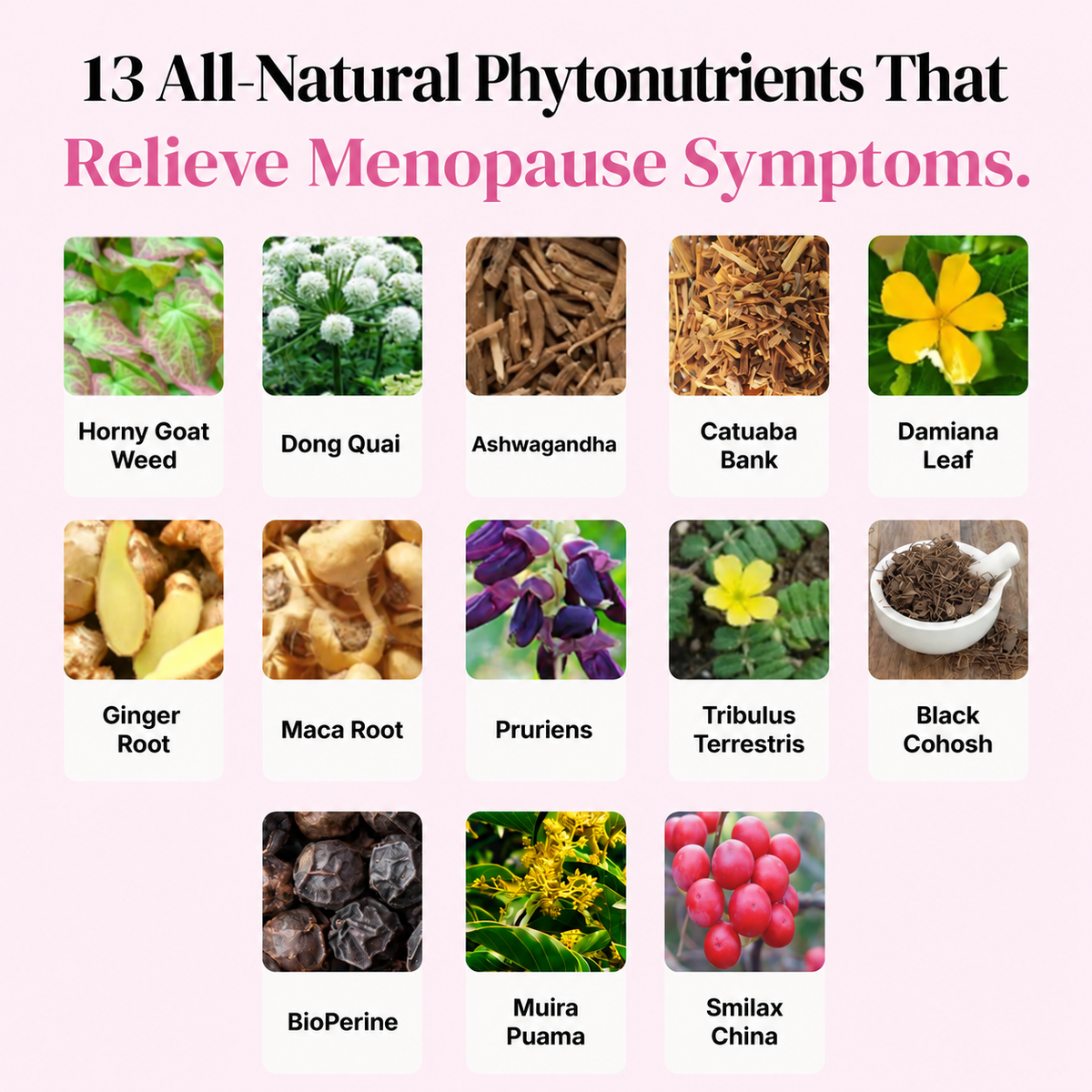 Over 30 Hormone Support - product image 8 of 11