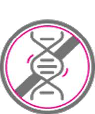 Meno Belly Night Burn