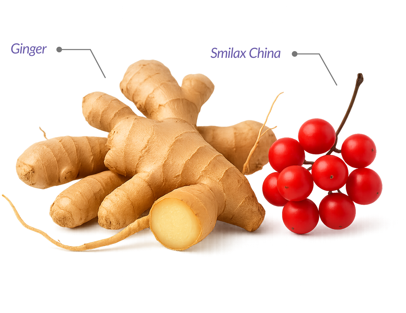 Gleefull Supplements image