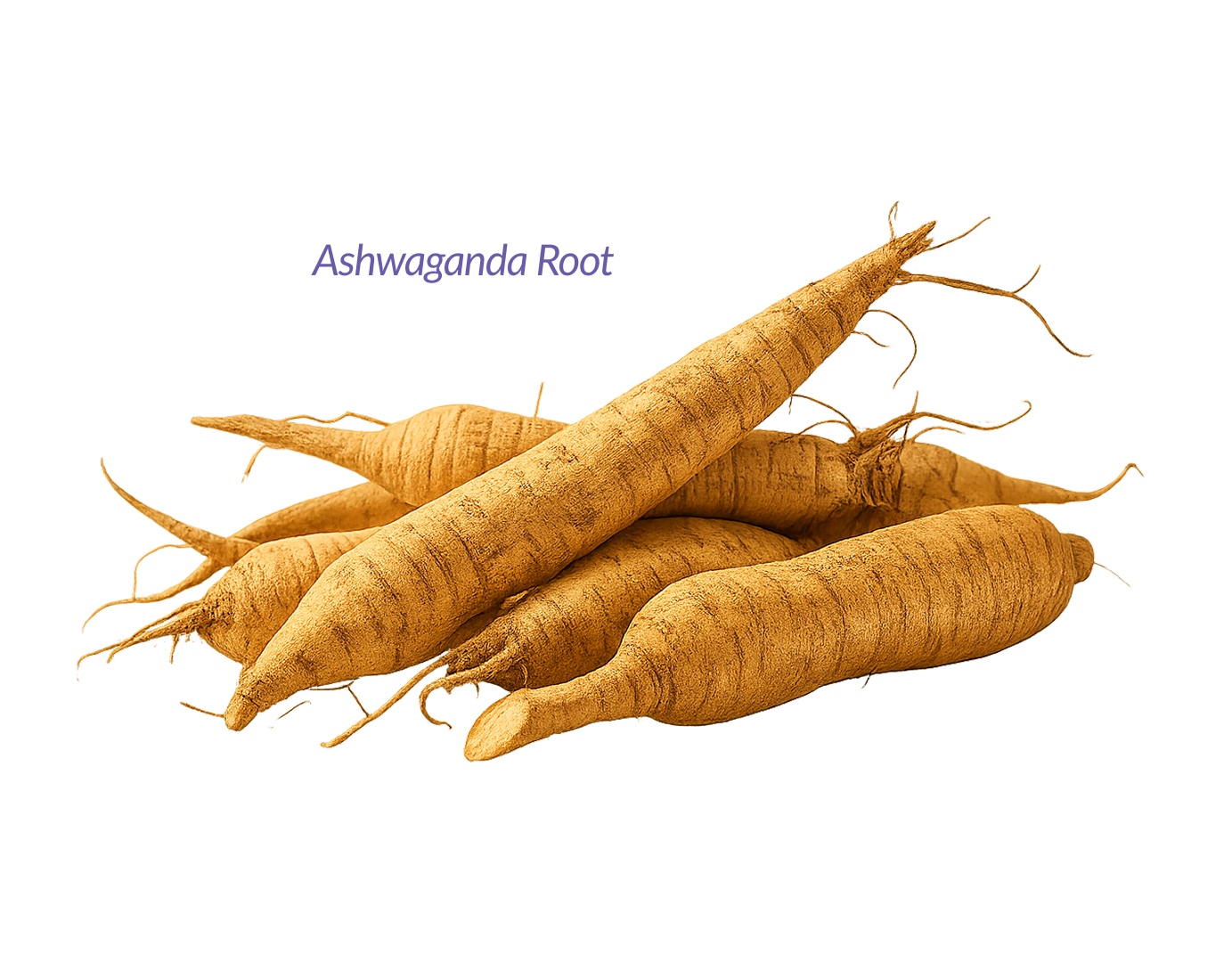 Gleefull Supplements image