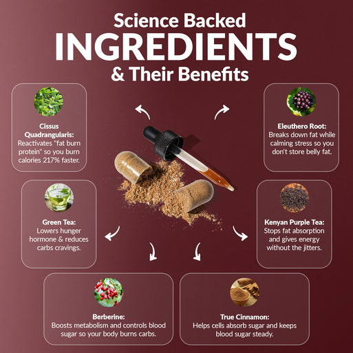 'Science Backed Ingredients & Their Benefits' infographic on burgundy. Six ingredients across the bundle: Cissus Quadrangularis (reactivates fat burn protein to burn calories 217% faster), Eleuthero Root (breaks down fat while calming stress), Berberine (boosts metabolism and controls blood sugar), Green Tea (lowers hunger hormone and reduces carb cravings), Kenyan Purple Tea (stops fat absorption with jitter-free energy), and True Cinnamon (steady blood sugar).