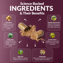 
'Science Backed Ingredients & Their Benefits' infographic on burgundy with an open capsule spilling powder. Six ingredients across the bundle: Maca Root (balances hormones, stops hot flashes), Dong Quai (natural estrogen for hot flashes and mood), Sage Leaf (mimics estrogen, clears brain fog), Evening Primrose Oil (reduces inflammation that slows metabolism), St John's Wort (stabilizes mood to stop stress eating), and Magnesium (calms nervous system before period).