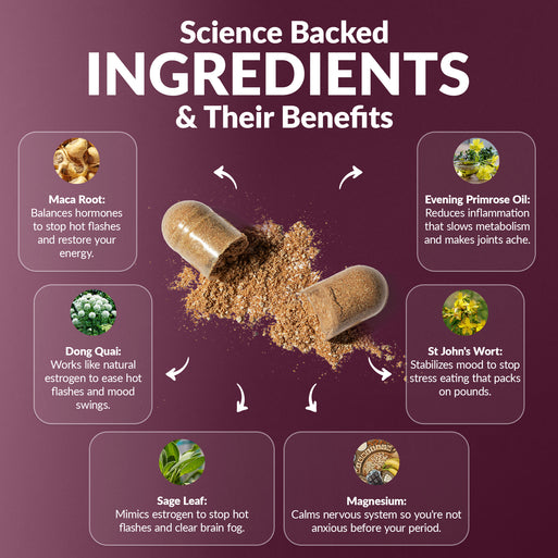 
'Science Backed Ingredients & Their Benefits' infographic on burgundy with an open capsule spilling powder. Six ingredients across the bundle: Maca Root (balances hormones, stops hot flashes), Dong Quai (natural estrogen for hot flashes and mood), Sage Leaf (mimics estrogen, clears brain fog), Evening Primrose Oil (reduces inflammation that slows metabolism), St John's Wort (stabilizes mood to stop stress eating), and Magnesium (calms nervous system before period).
