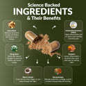 'Science Backed Ingredients & Their Benefits' infographic on dark olive green. Six ingredients across the bundle: Maca Root (balances hormones, stops hot flashes), Dong Quai (natural estrogen for hot flashes and mood), Black Cohosh (calms hot flash trigger for sleep), MSM (fights inflammation to reduce joint swelling and pain), Turmeric (lowers pain-causing enzymes), and GlucosaGreen (rebuilds protective cartilage in joints).