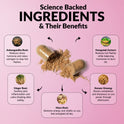 'Science Backed Ingredients & Their Benefits' infographic on pink with an open capsule spilling powder. Five ingredients: Ashwagandha Root (reduces stress hormone and raises estrogen for hot flashes), Ginger Root (soothes joint inflammation and calms bloating), Maca Root (restores energy and vitality), Fenugreek Extract (reduces hot flashes and balances hormones to burn fat), and Korean Ginseng (boosts metabolism and mental sharpness).