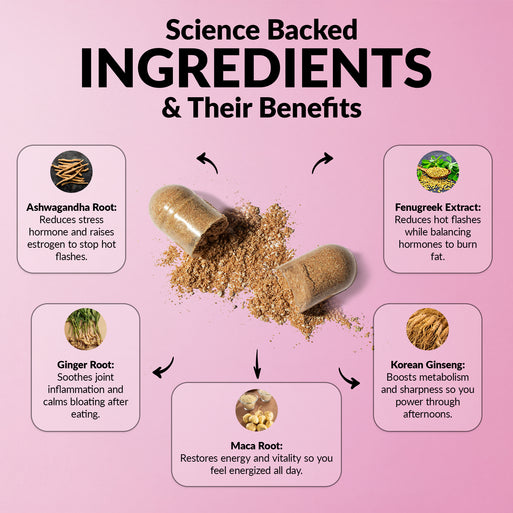 'Science Backed Ingredients & Their Benefits' infographic on pink with an open capsule spilling powder. Five ingredients: Ashwagandha Root (reduces stress hormone and raises estrogen for hot flashes), Ginger Root (soothes joint inflammation and calms bloating), Maca Root (restores energy and vitality), Fenugreek Extract (reduces hot flashes and balances hormones to burn fat), and Korean Ginseng (boosts metabolism and mental sharpness).