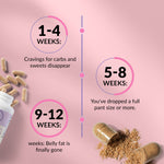 Results timeline infographic on a pink background with scattered capsules and herbal powder. Three milestone markers: 1-4 Weeks - cravings for carbs and sweets disappear; 5-8 Weeks - you've dropped a full pant size or more; 9-12 Weeks - belly fat is finally gone.