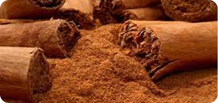 Close-up of cinnamon sticks and ground cinnamon on a wooden surface