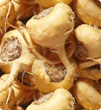 Maca Root