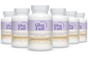 Meno Brain Support