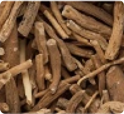 Ashwagandha Root