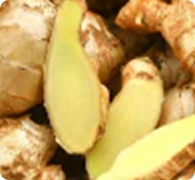 Ginger Root